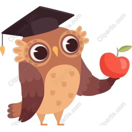 Graduation Owl