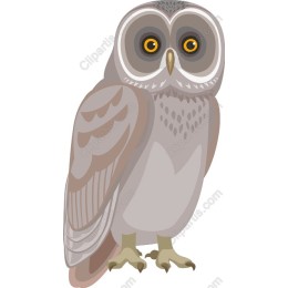 Charming Owl