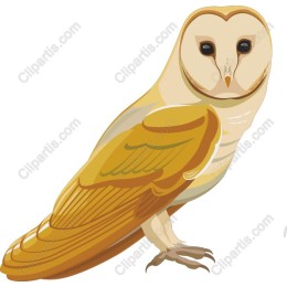 Stylized Barn Owl