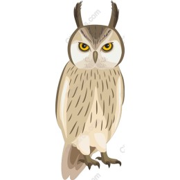 Majestic Owl