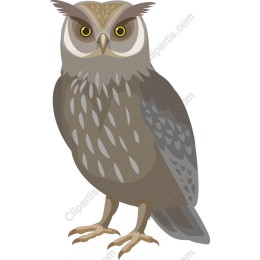 Majestic Owl