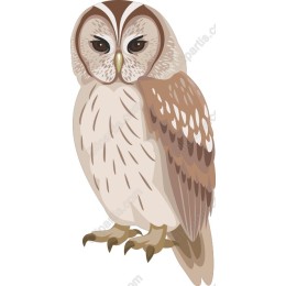 Majestic Owl