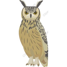 Majestic Owl