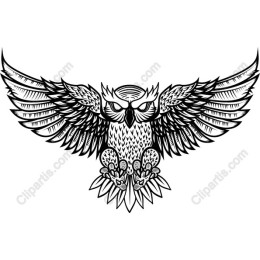 Majestic Owl