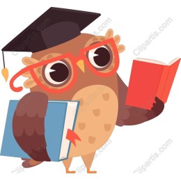 Studious Owl