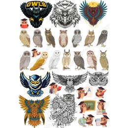 Owl Bundle