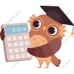 Playful Owl with Calculator