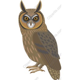 Majestic Owl