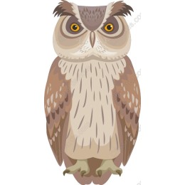 Majestic Owl