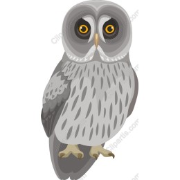 Majestic Owl