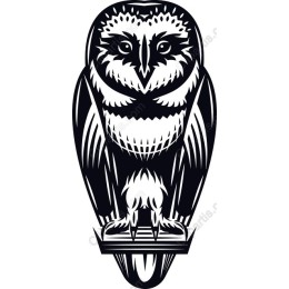 Majestic Owl