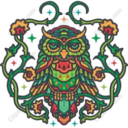 Colorful Owl