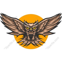 Majestic Owl