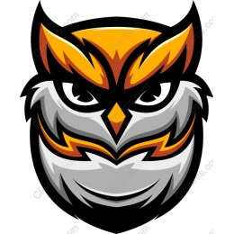 Fierce Owl work