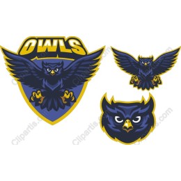 Fierce Owl Set