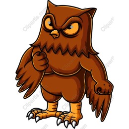 Fierce Cartoon Owl