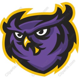Fierce Purple Owl