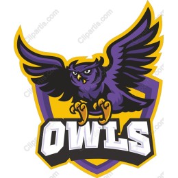 Owls Mascot