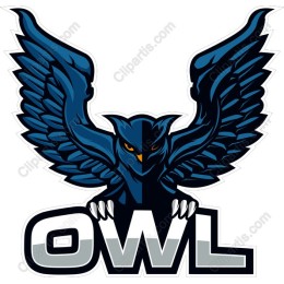 Fierce Owl