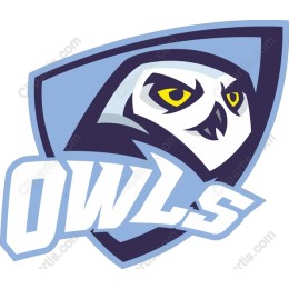 Dynamic Owl Logo