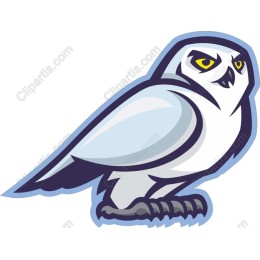 Snowy Owl Cartoon
