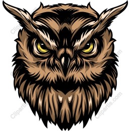 Majestic Owl