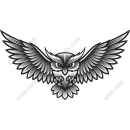 Majestic Owl