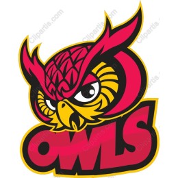 Fierce Owl Mascot