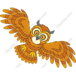 Playful Owl