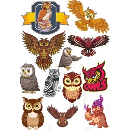 Owl work Collection - 12 Unique Cliparts