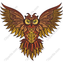 Elegant Owl