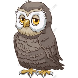 Charming Owl