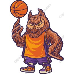 Basketball Owl