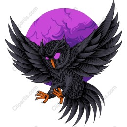 Fierce Black Owl