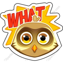 Whimsical Owl Reaction with WHAT Text