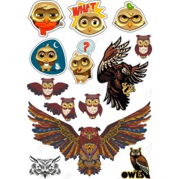 Owl Bundle