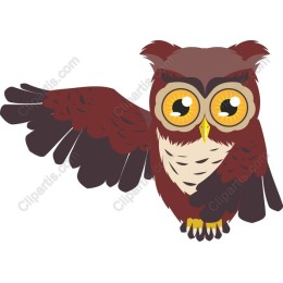 Charming Owl