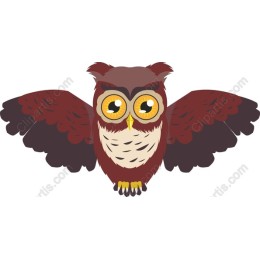 Charming Owl