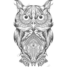Intricate Owl