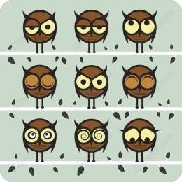 Owl Expressions