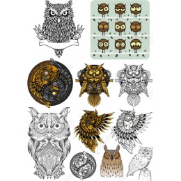 Owl Bundle