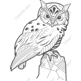 Intricate Owl