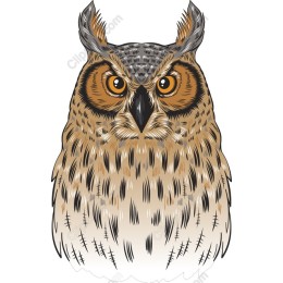 Majestic Owl