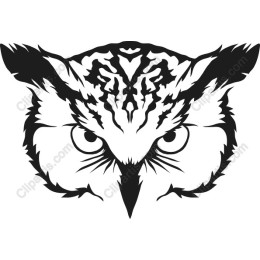  Owl - Majestic in Black and White