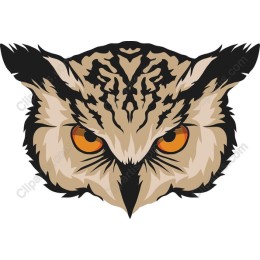 Fierce Owl