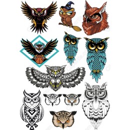 Owl Bundle - Vibrant and