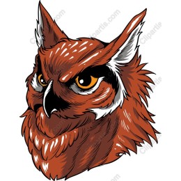 Majestic Owl Head