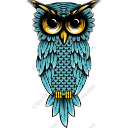Vibrant Turquoise Owl