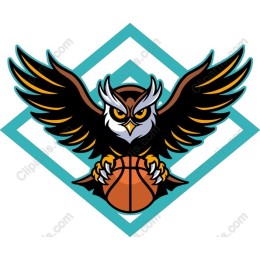 Fierce Basketball Owl
