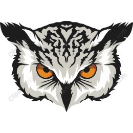 Owl Face